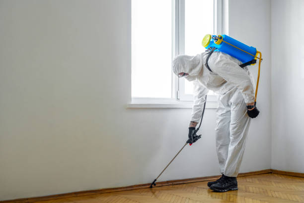 Best Emergency Pest Control  in Myrtle Beach, SC